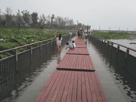 ?????????????÷??????????????????