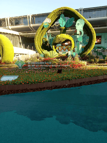 ??????????IBC2017????????????