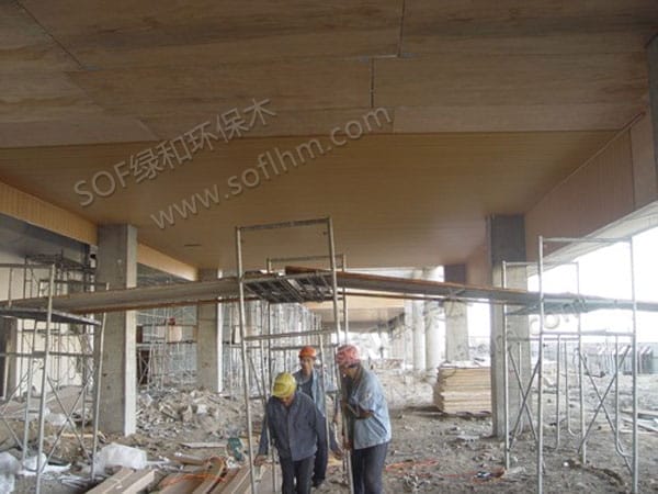 ?????????????100??????????