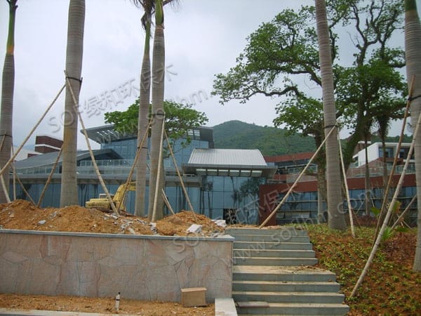 ???????????????????????????