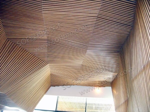 ?????????Σ?10025?????