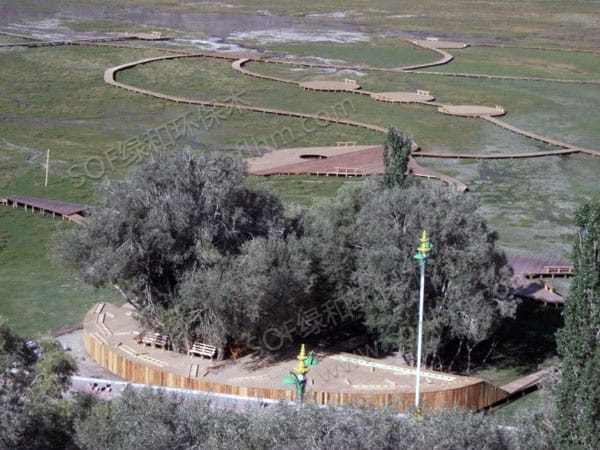 ?????????????????????